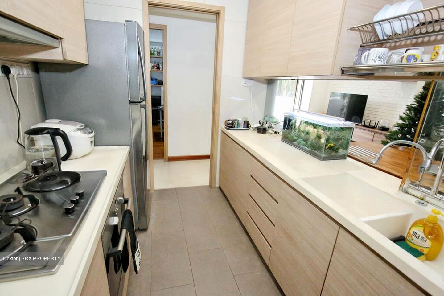 Parc Vera (D19), Condominium #570116321